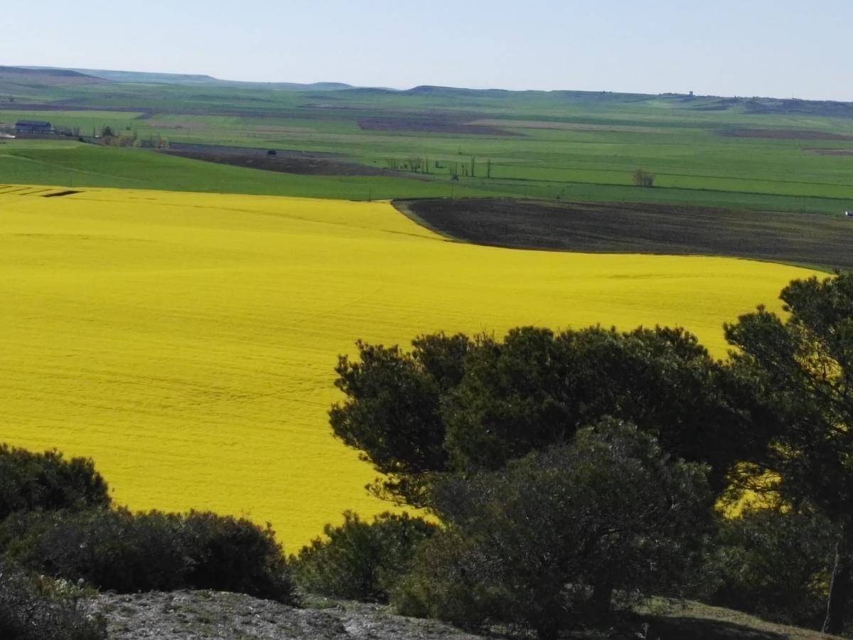 La Aldea Colorada Casa Rural Mota del Marqués 外观 照片