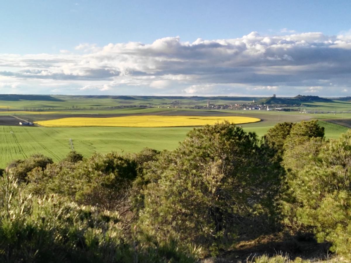 La Aldea Colorada Casa Rural Mota del Marqués 外观 照片
