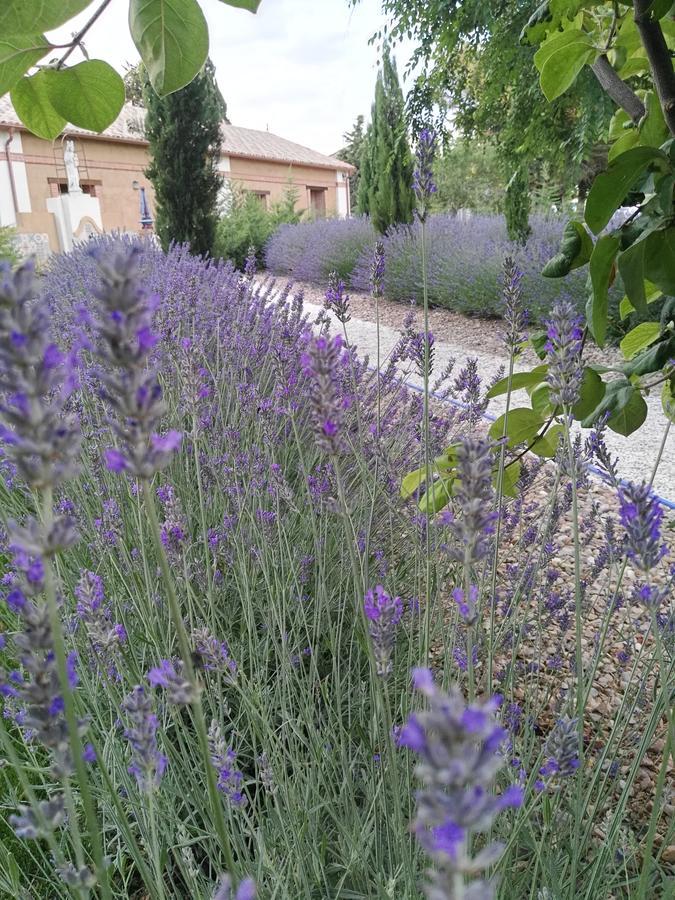 La Aldea Colorada Casa Rural Mota del Marqués 外观 照片